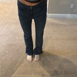 J. Jill Blue Straight Leg Jeans Classic Style